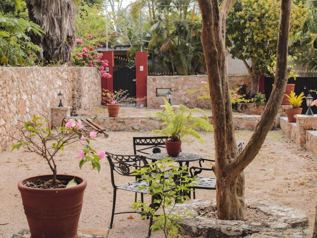 Zahrada ubytování Casa Vicenta Izamal