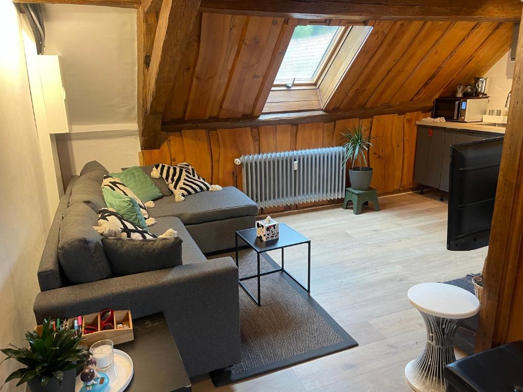 salon z kanapą i telewizorem w obiekcie Appartement 3 pieces centre du Hohwald # 201 w mieście Le Hohwald