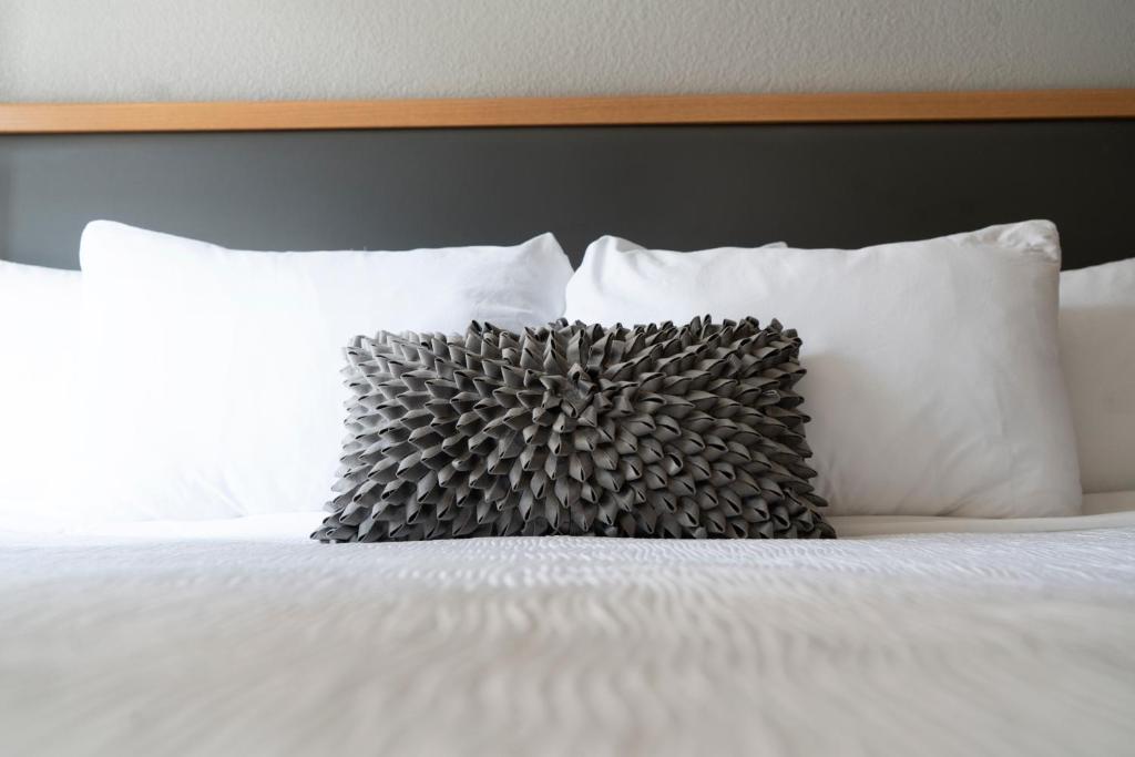 Hotel Saint Clair - Magnificent Mile - غرفة سوبيريور كينغ