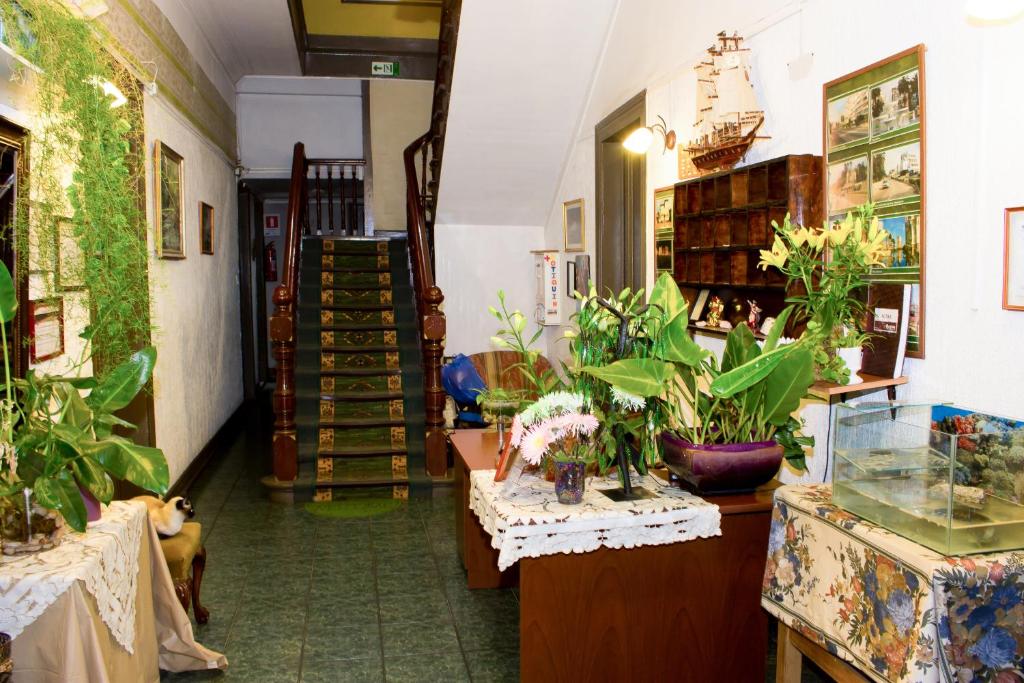 Fotografie z fotogalerie ubytování Hostal Residencia Blest Gana v destinaci Viña del Mar