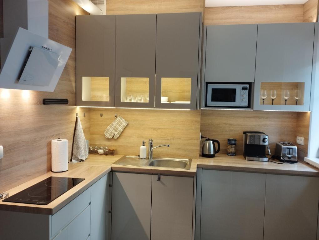 A kitchen or kitchenette at Havel Apartment