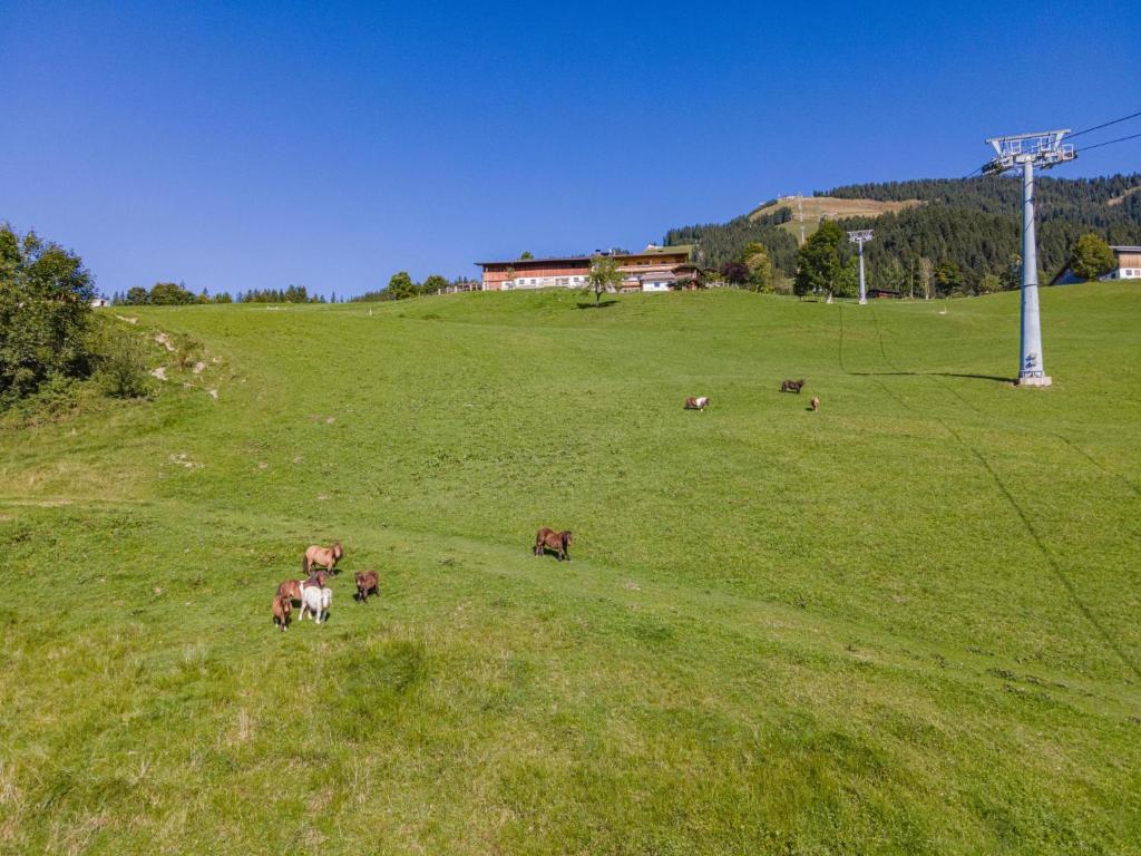 Príroda v okolí apartmánu