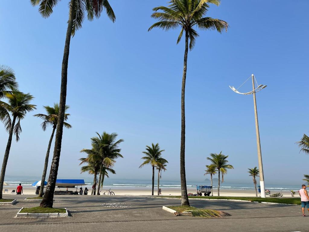a row of palm trees on the beach at Acomodações Tio Will in Guarujá