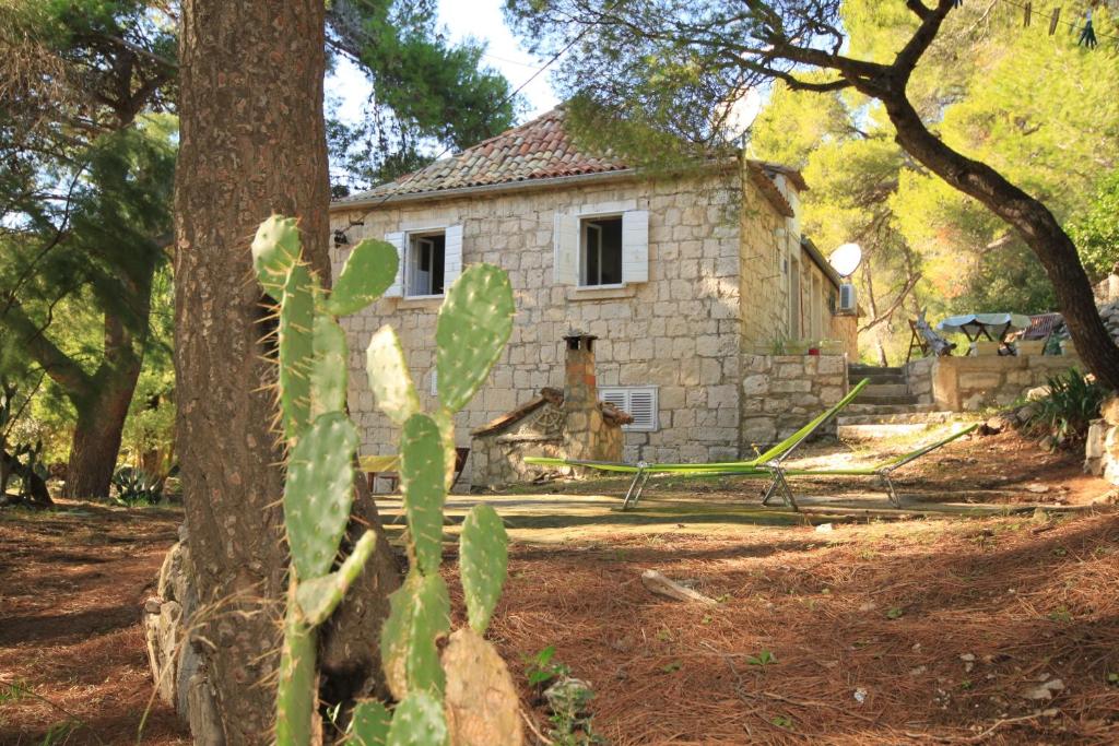 a stone house with a cactus in front of it at Apartments by the sea Milna, Vis - 8490 in Vis