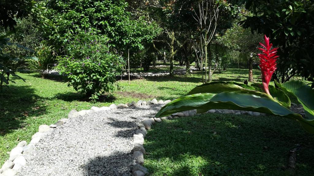 Hotel Roca Negra Del Arenalにある庭