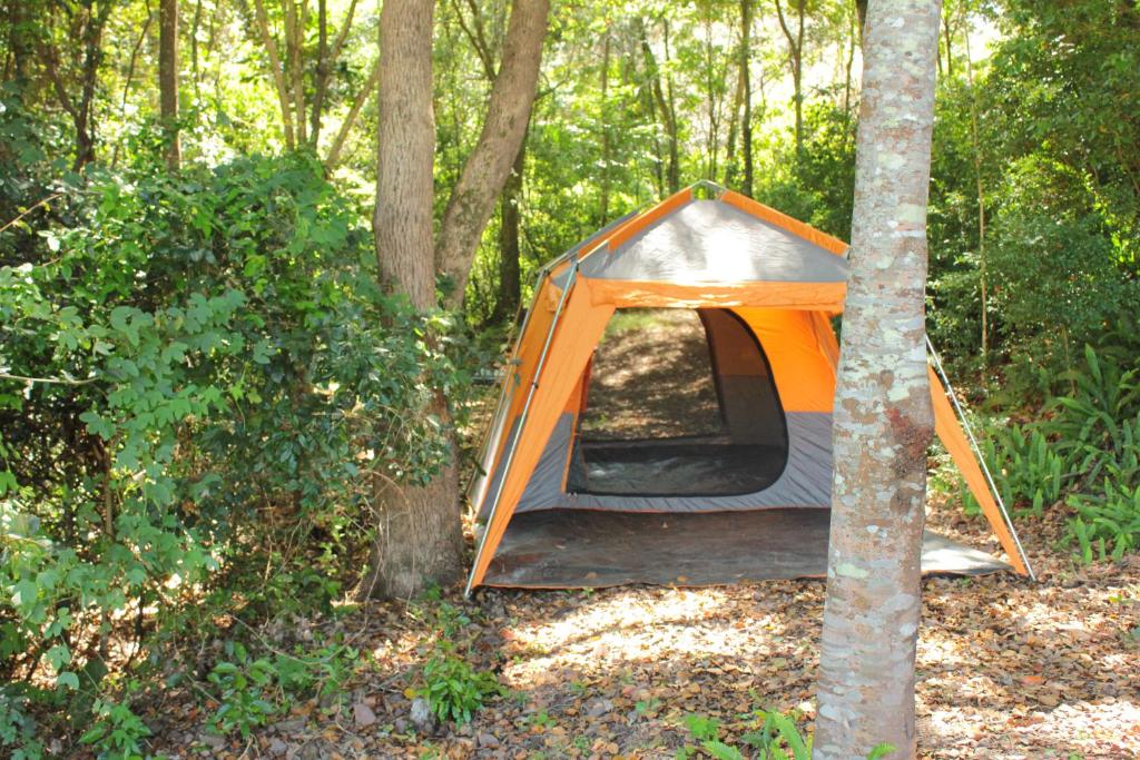 Fotografie z fotogalerie ubytování Camp NATURE v destinaci Bli Bli