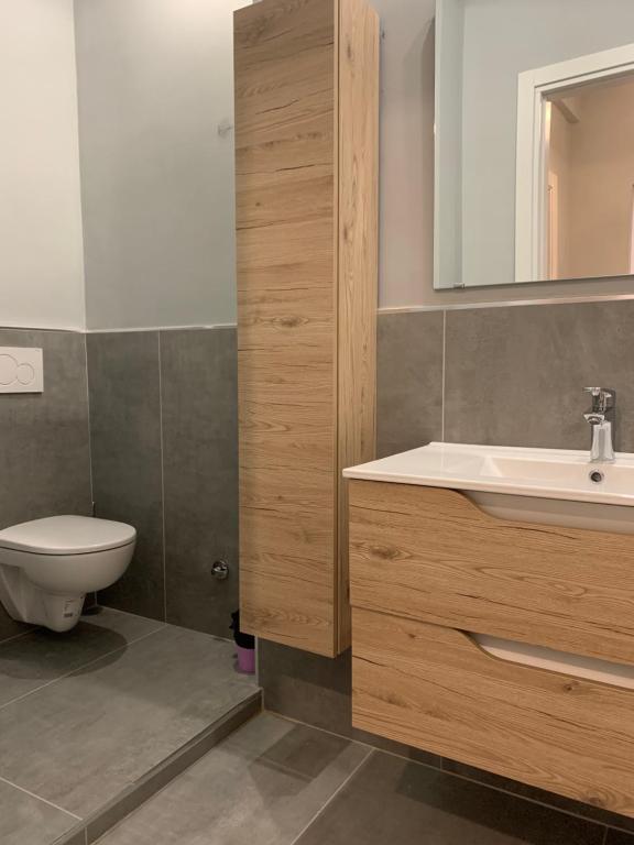 W łazience znajduje się toaleta, umywalka i lustro. w obiekcie San Felice Apartment w Bolonii