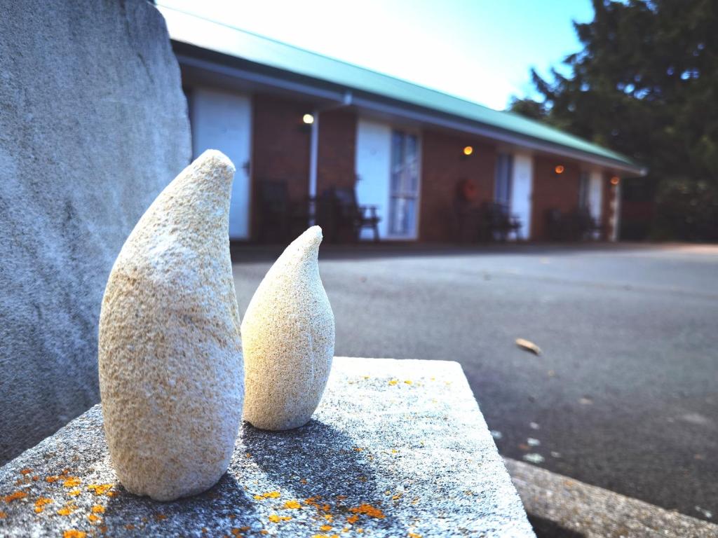 ASURE Ambassador Motor Lodge - Resim 19