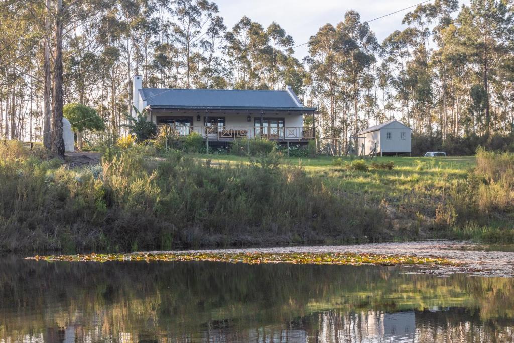 a house by the water with trees in the background at Lekkerkry in Plettenberg Bay