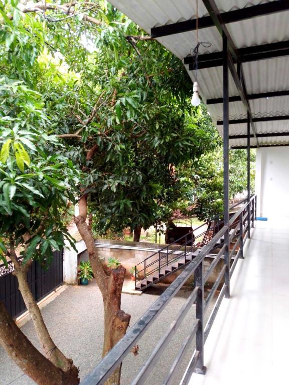 Zahrada ubytování Lion Home Stay Anuradhapura