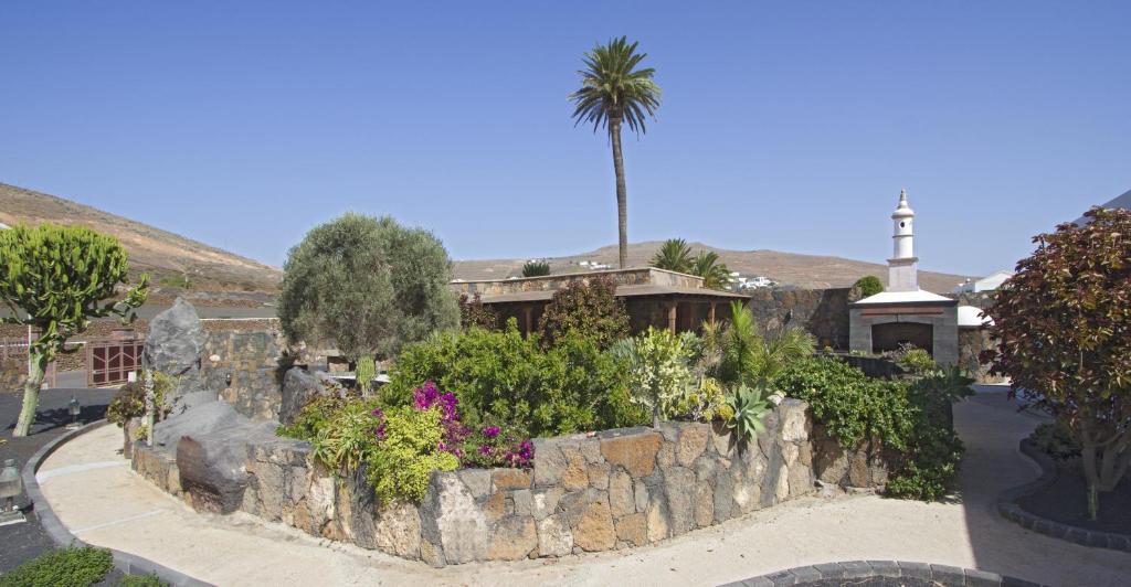 a resort with a retaining wall and a palm tree at Villa Remedios in Teguise