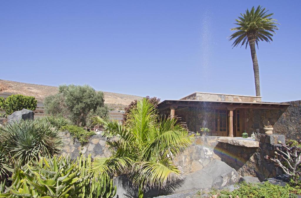 a house in the desert with a palm tree at Villa Remedios in Teguise