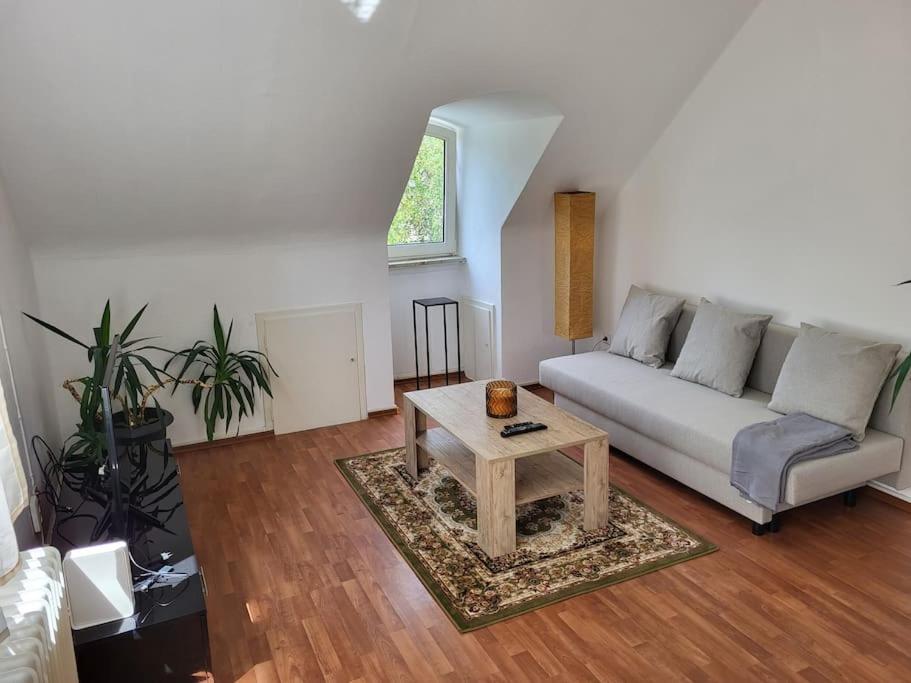 Zentrale gemütliche Wohnung - Hizvo