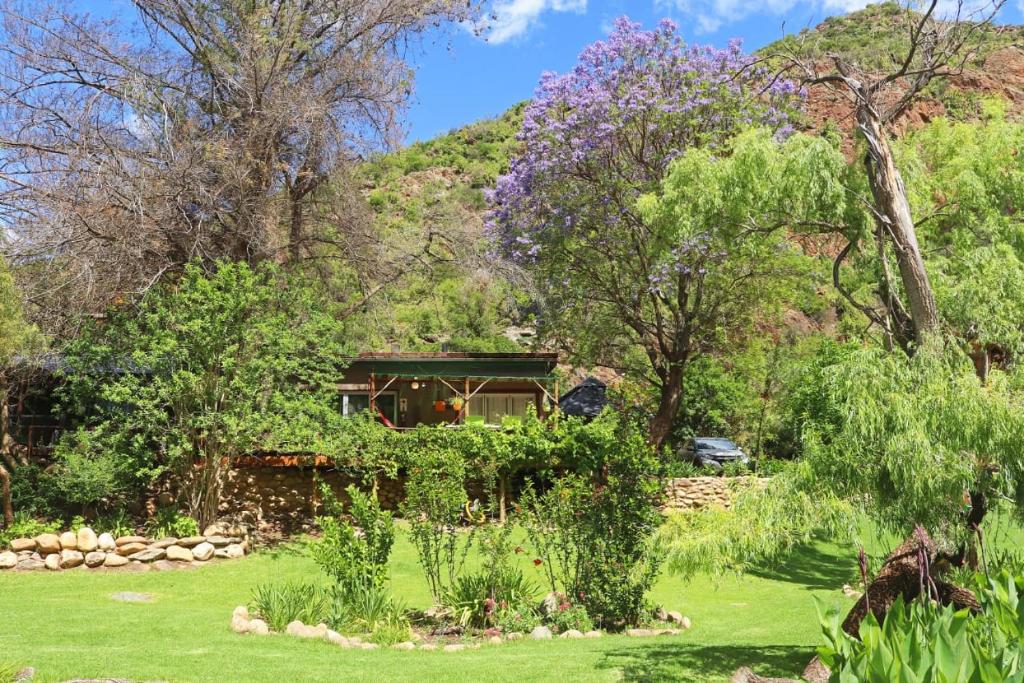 a house in the middle of a yard with trees at Unit Blessed in Oudtshoorn