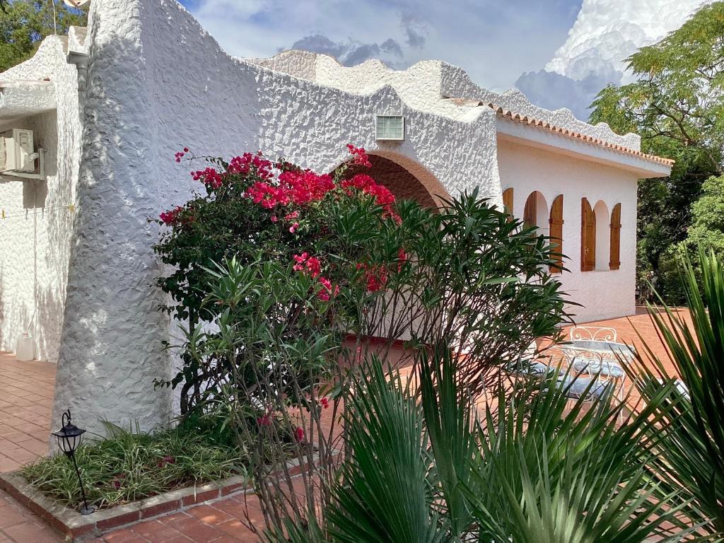 Κήπος έξω από το Villa Prua