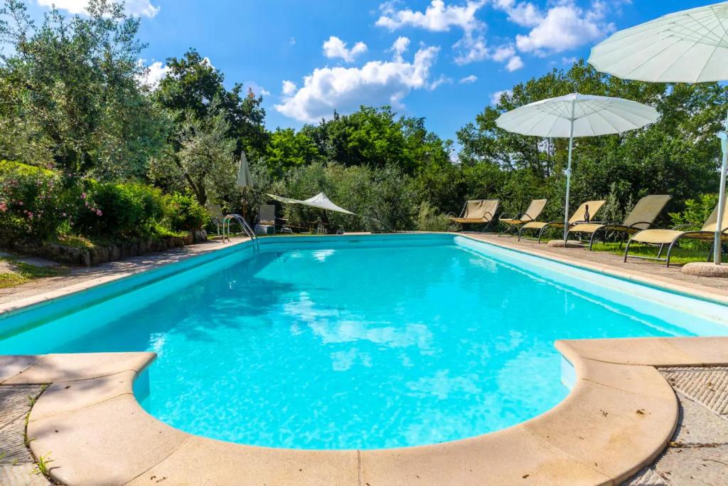 a swimming pool with chairs and an umbrella at La Limonaia in Monte San Savino