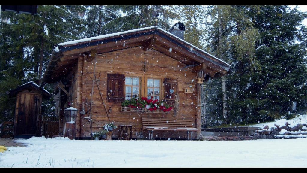 Hotel Pension Alpenrose зимой