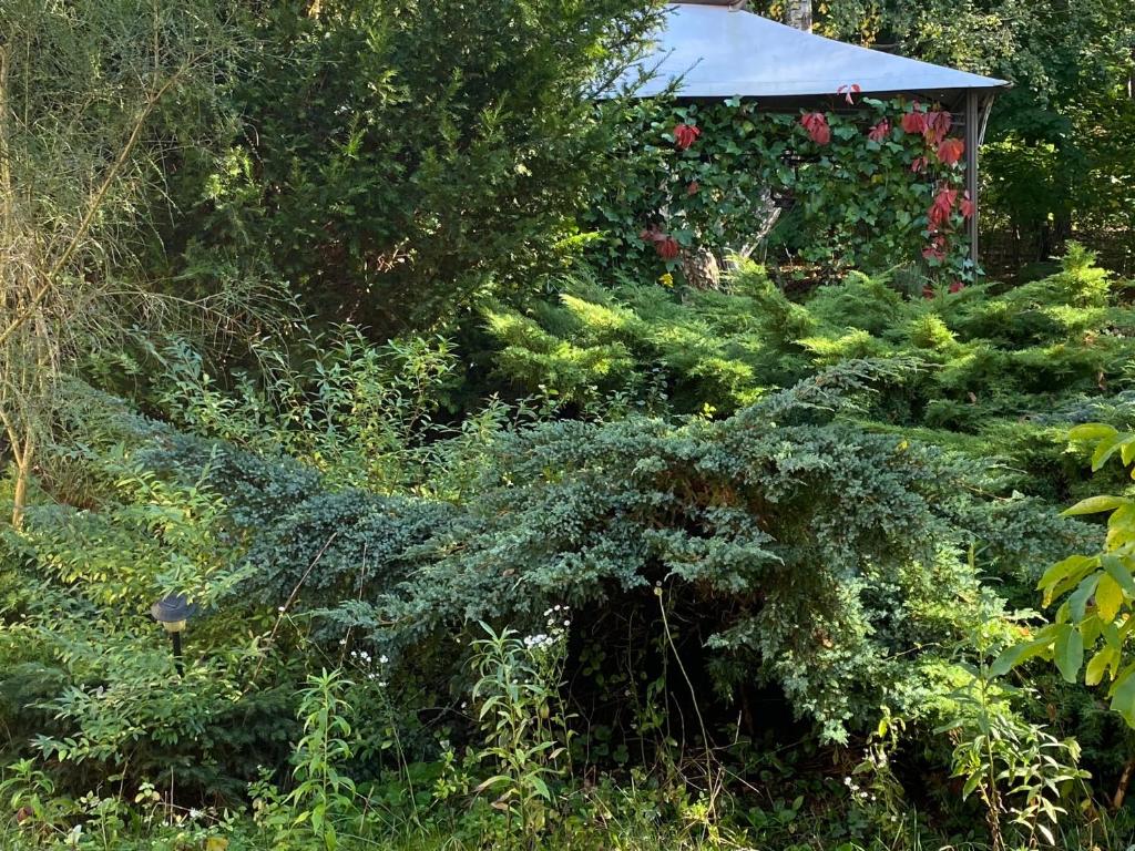 Agroturystyka Staroscin - 6