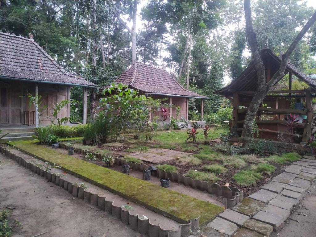 een tuin voor een huis bij omah kayu jagalan in Magelang