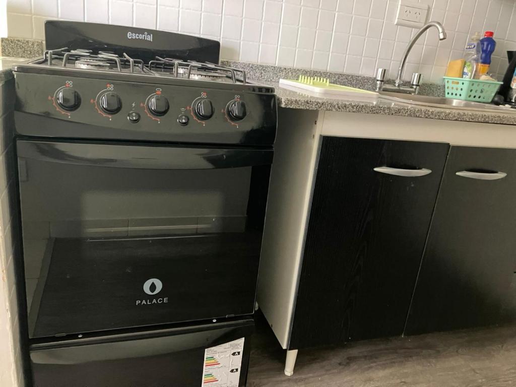 una estufa negra en una cocina con fregadero en FALDEO Sur 451 in 