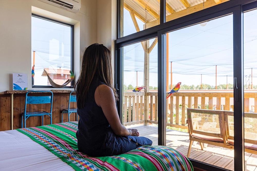 Parrot World - Les Lodges - Amazonia Lodge