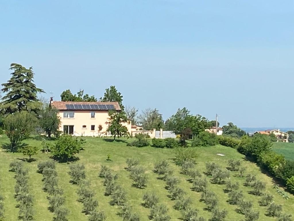 a field of crops with a house in the background at Rio Sabbioso in Dozza