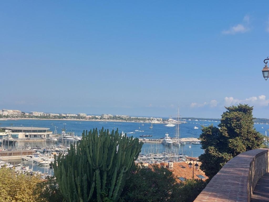 Príroda v okolí apartmánu