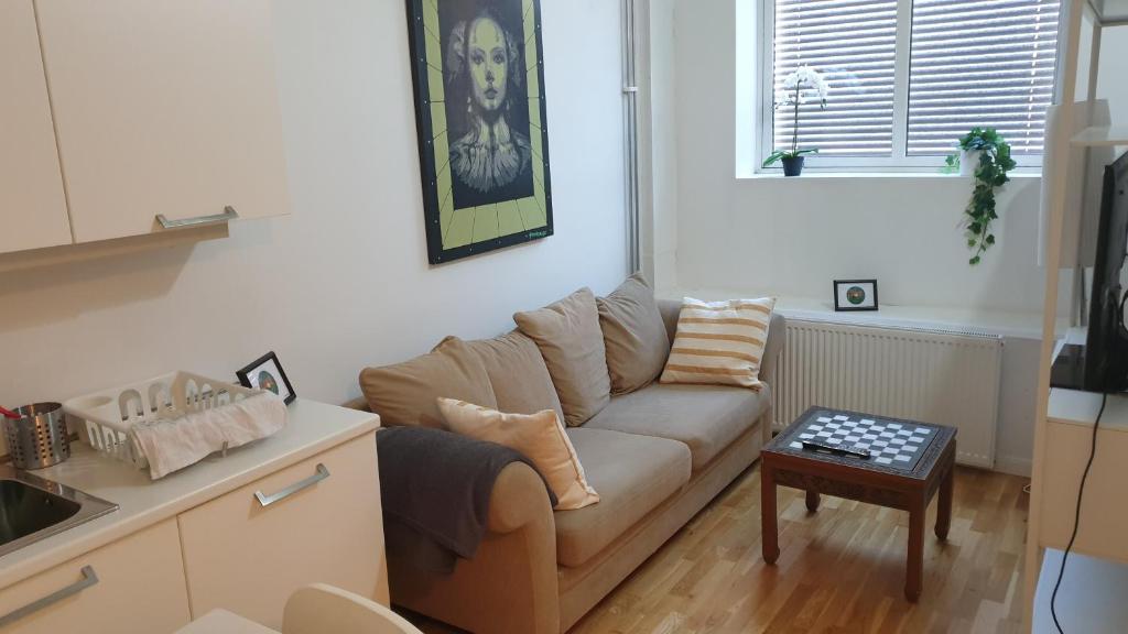 a living room with a couch and a table at Cozy 1 bedroom apartment in Oslo centrum in Oslo
