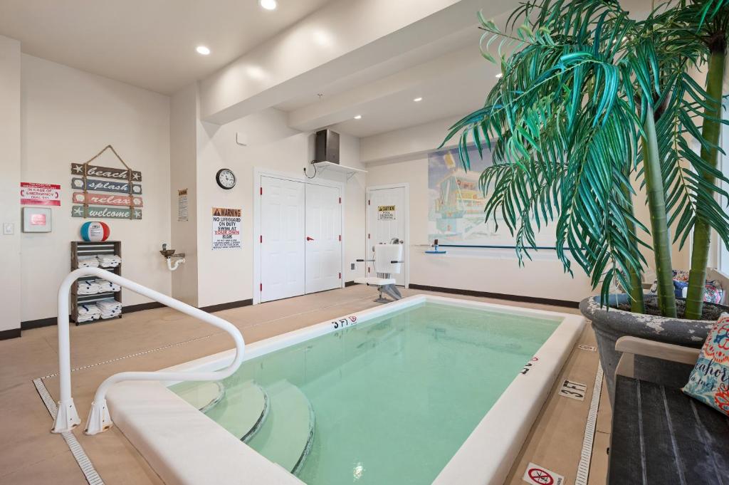 a swimming pool in a room with a plant at Beach Bum Inn in Ocean City