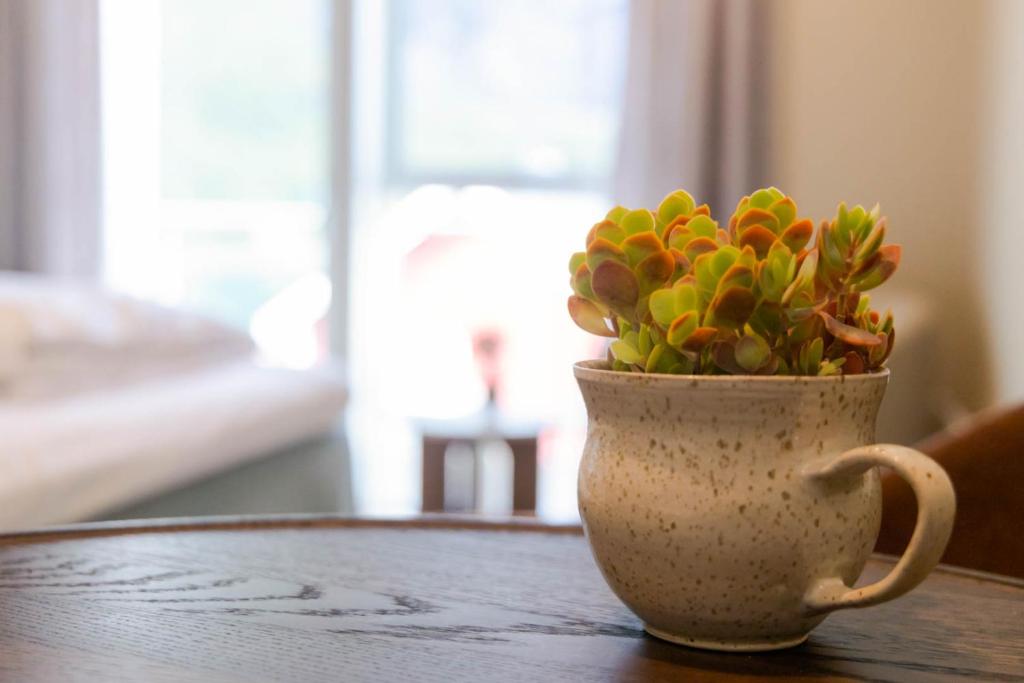 May's Apartments by May's - Studio Avec Terrasse