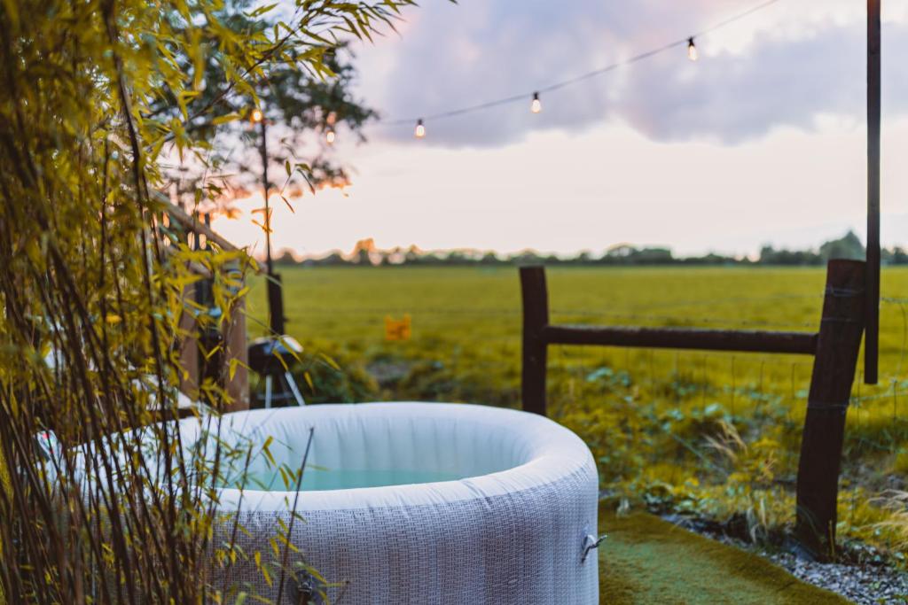 Zahrada ubytování The Horrrsebox Tinyhouse Glamping