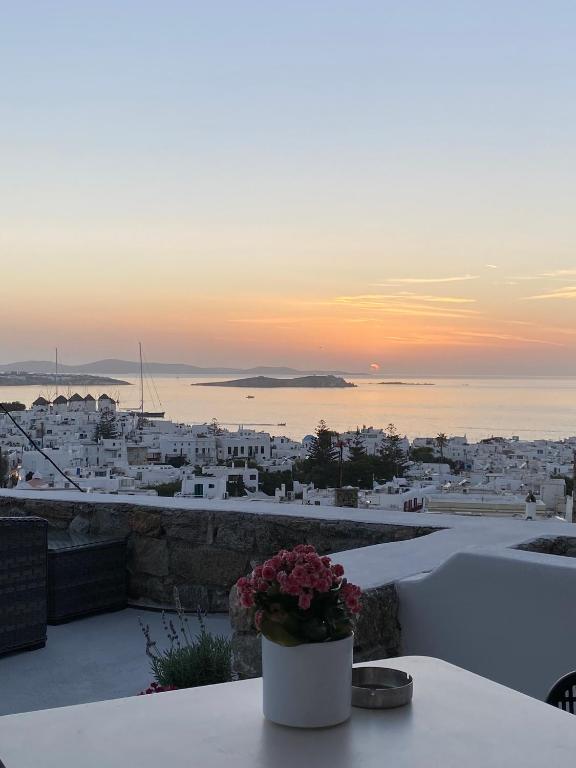 THE VIEW OF MYKONOS - 10