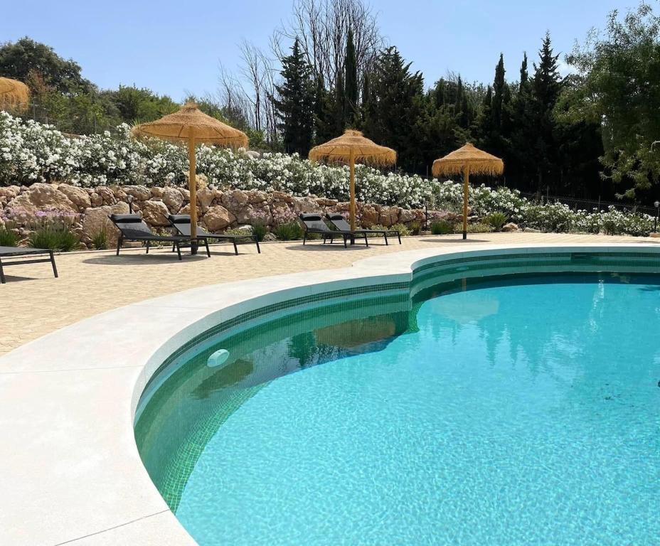 una piscina con sedie e ombrelloni in un cortile di Cortijo Rancho Verde a Colmenar