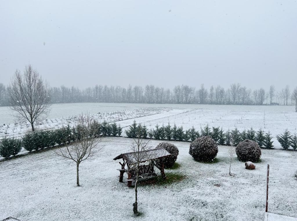 Agriturismo Sabidor during the winter