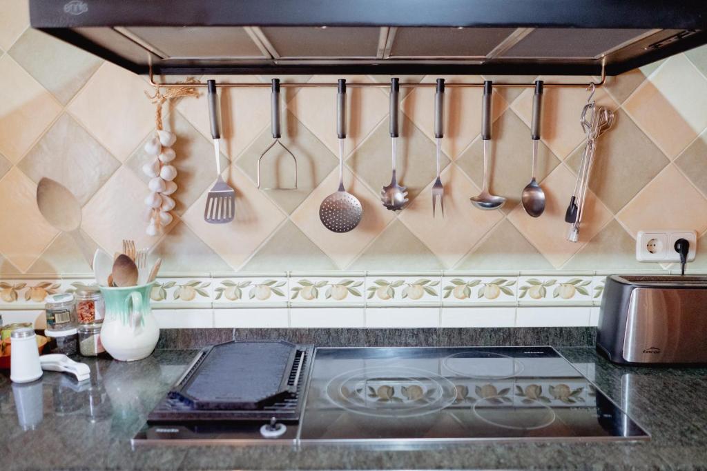 A kitchen or kitchenette at El Xalet de la Vall de Cardós