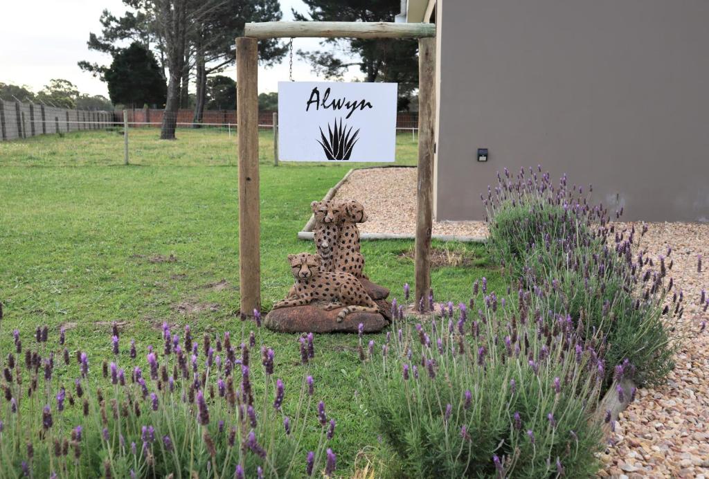 posąg geparda siedzącego obok znaku w obiekcie Theescombe Accomodation w mieście Port Elizabeth