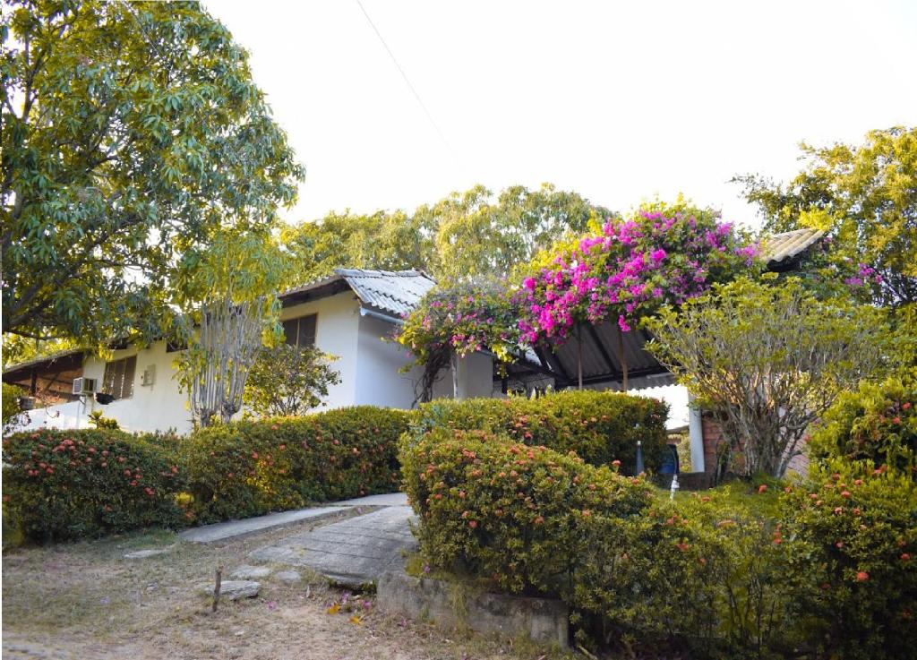 una casa con flores rosas en los arbustos en Yoal Hostel, en Santa Marta