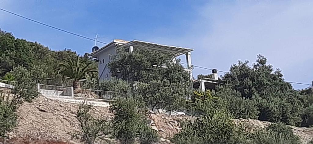 ALBA OCEAN VIEW LUXURY RESIDENCE - Villa Standard