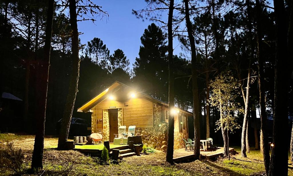 uma cabana de madeira com luzes na floresta à noite em Casa Rural Campanilla em Riópar