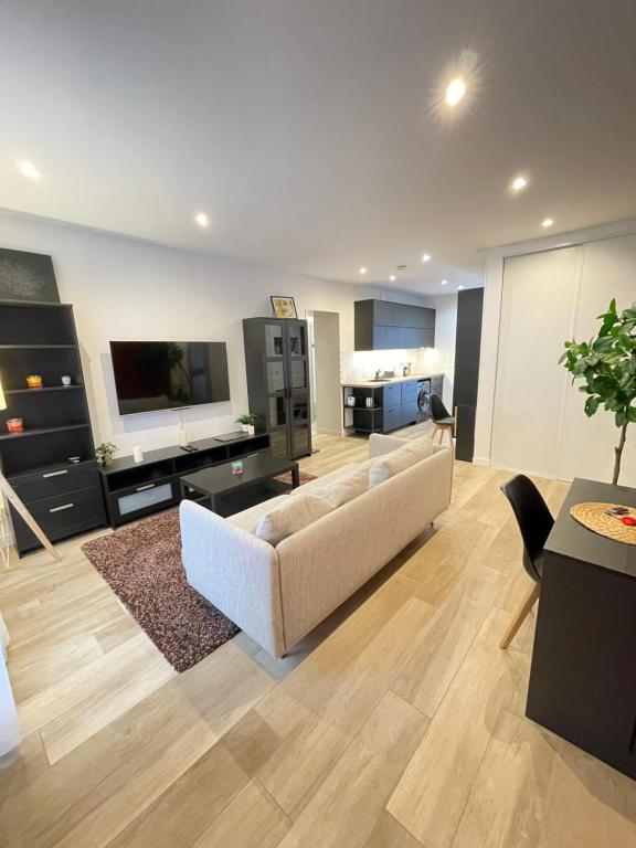 sala de estar amplia con sofá y TV en Le Domaine Des Yèbles - Appartement Calme et élégant, en Avon