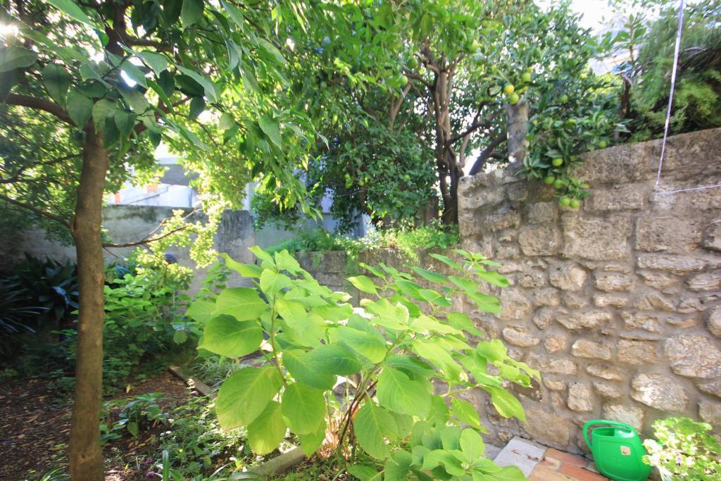 Vonkajšia záhrada v ubytovaní Seaside holiday house Cavtat, Dubrovnik - 8557