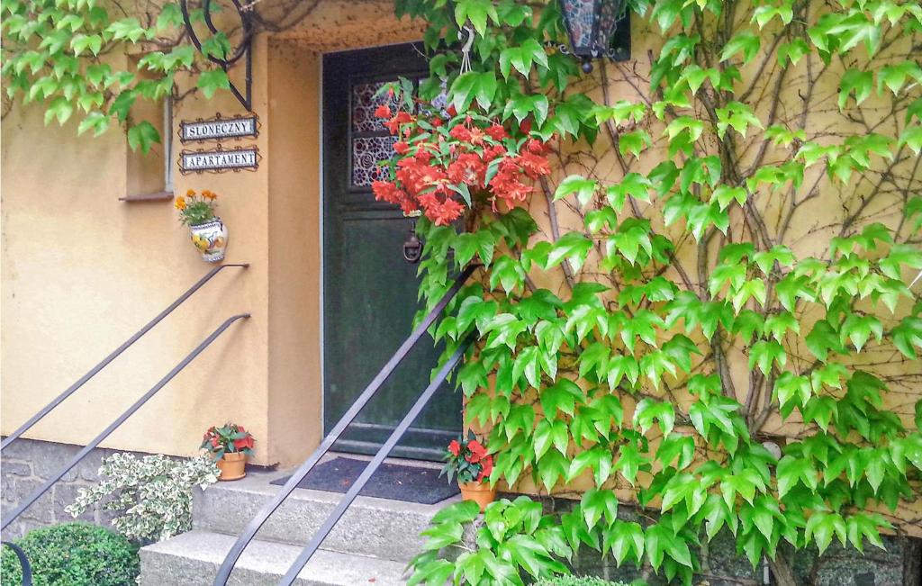 a front door of a house with a plant at Gorgeous Apartment In Sobótka With Wifi in Sobótka