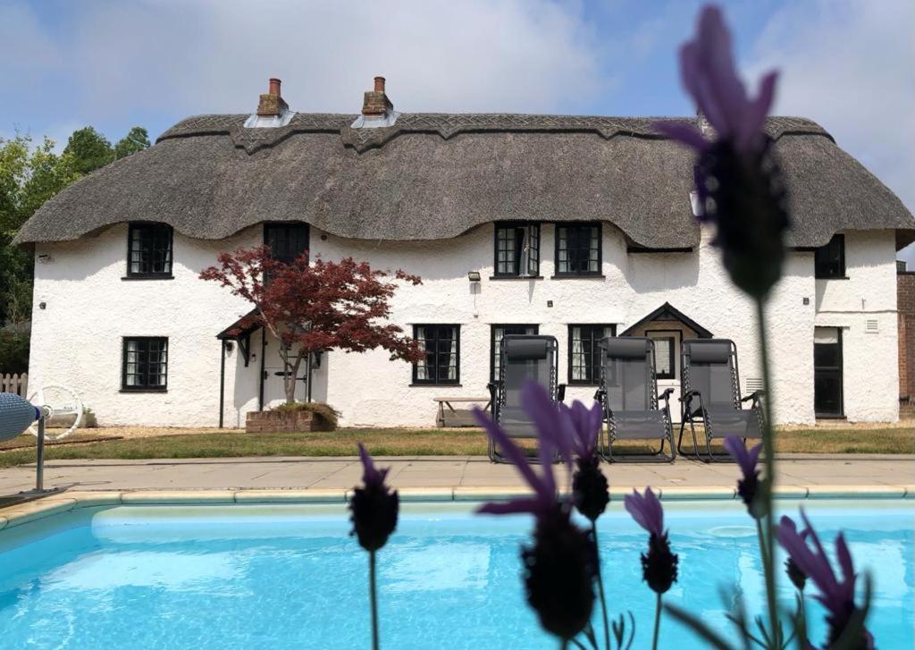 uma casa com telhado de palha e uma piscina em April Cottage, luxurious accommodation for coast and forest with pool & hot tub em Hordle
