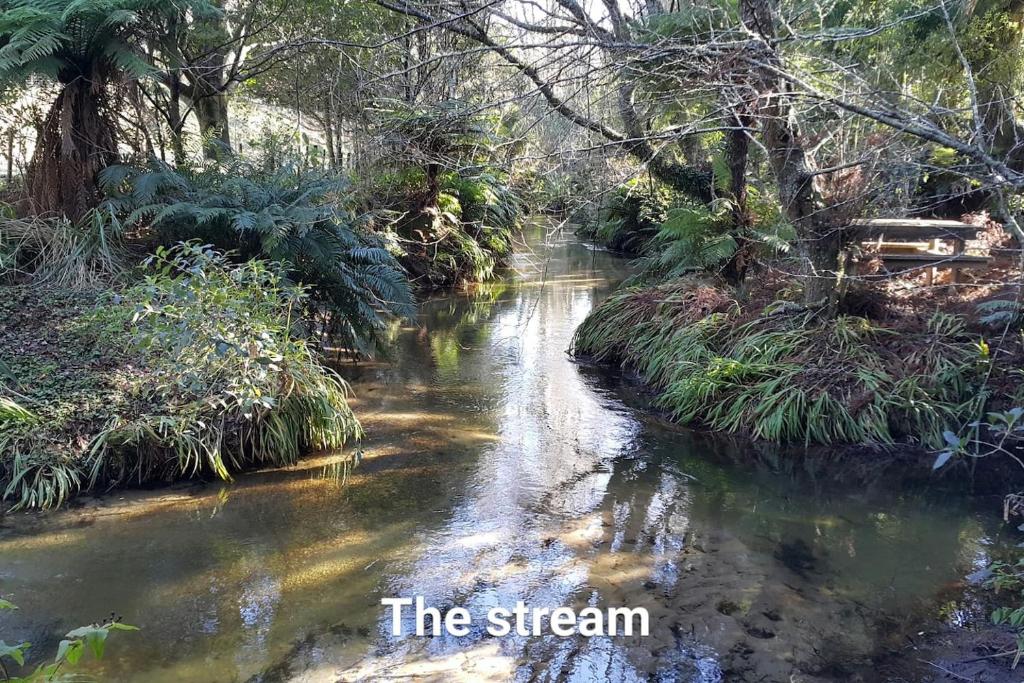 a stream in a forest with the words the stream at Paradise Valley River Lodge in Rotorua