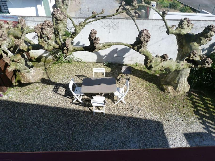 Zdjęcie z galerii obiektu T3 PAYS BASQUE SUD LANDES w mieście Tarnos