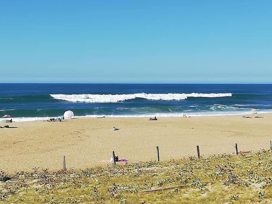 Zdjęcie z galerii obiektu T3 PAYS BASQUE SUD LANDES w mieście Tarnos