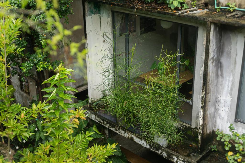 GalileOasis Boutique Hotel - Resim 43