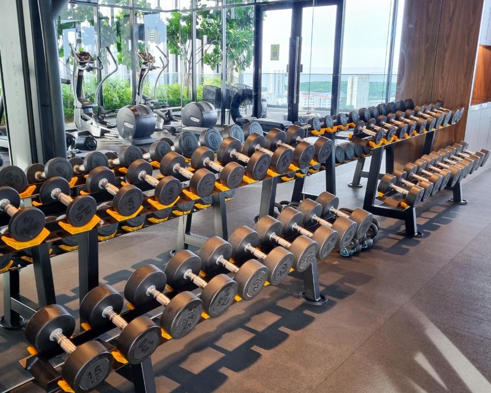 Fitness centrum a/nebo fitness zařízení v ubytování Lavish Beacon Executive Suites by Bin Dao Wu Homestay Penang