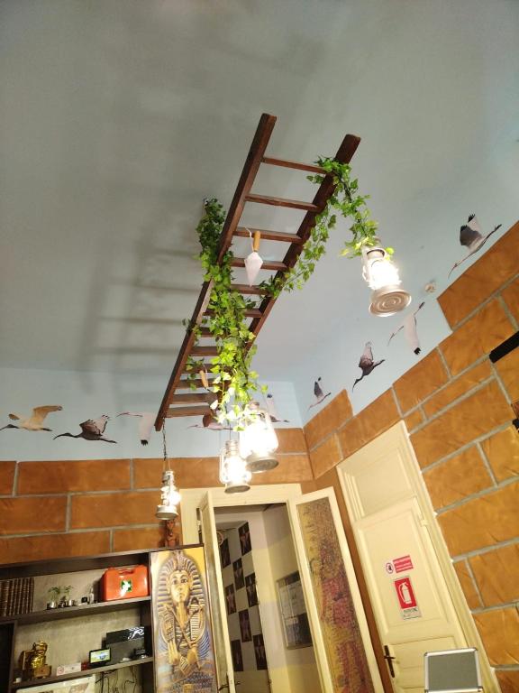 a room with a ladder with plants on the ceiling at Hollywood Inn Palermo in Palermo