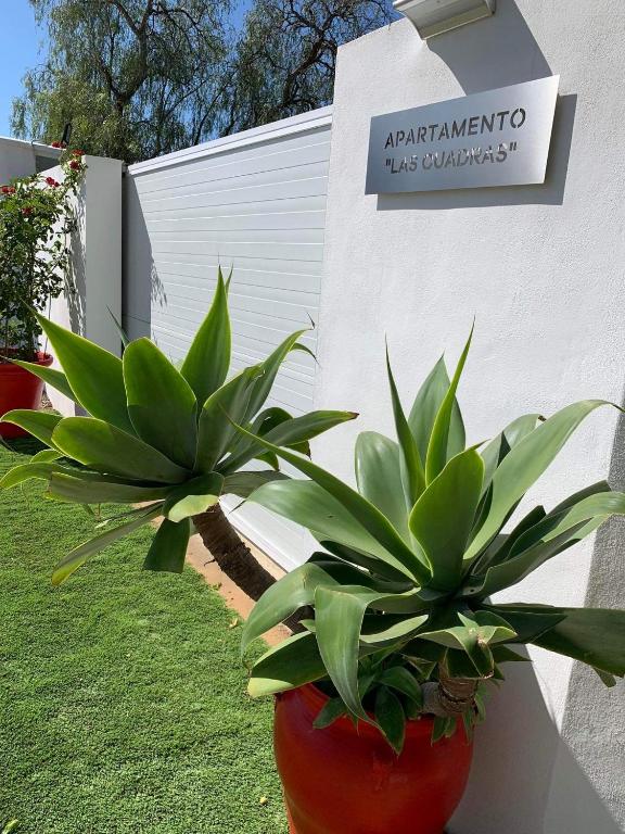 Apartamento “Las Cuadras “室外花園